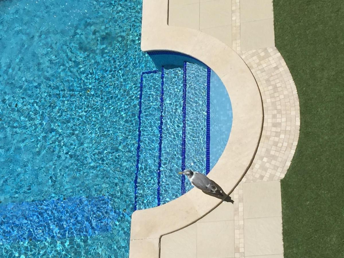 3 Min Walking To Peneco Beach Albufeira At Sol A Sul Apartments المظهر الخارجي الصورة